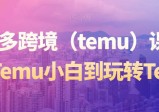 拼多多跨境（TEMU）精选课程，从TEMU小白到玩转TEMU