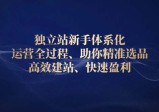 独立站新手体系化运营全过程，助你精准选品、高效建站、快速盈利