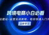 跨境电商小白必看！独立站建站+运营实战教程，助你快速入门并精通